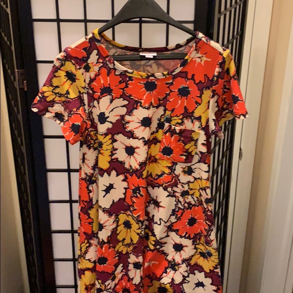 Lularoe Carly Dress